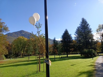 20221014_Luftballon-Gutschein_FAMILY e-Carsharing_05.jpg