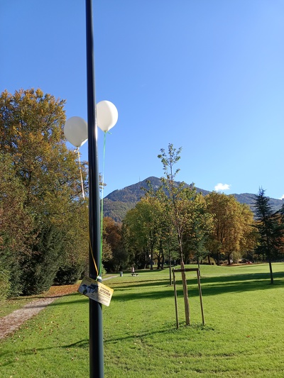 20221014_Luftballon-Gutschein_FAMILY e-Carsharing_04.jpg