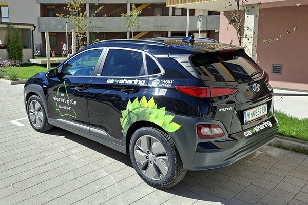 WIENER NEUSTADT WN-867EN - ein viertel grün 2